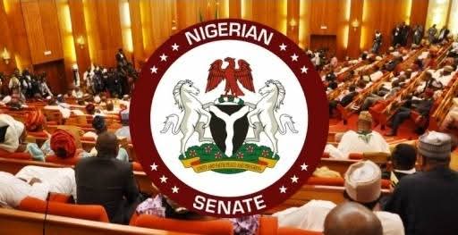 Expectations from the 10th Senate as plenary resumes